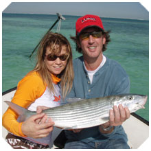 maimi tarpon